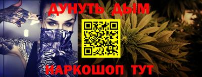 сатива Новозыбков