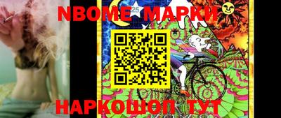 сатива Новозыбков