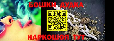 сатива Новозыбков