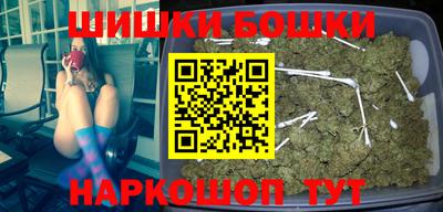 сатива Новозыбков
