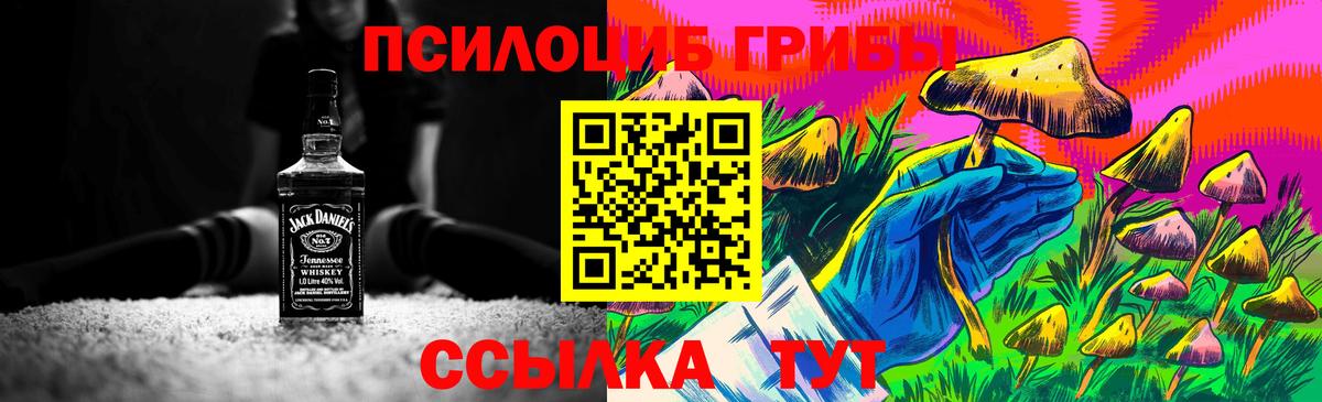 Таганрог  где можно купить   Вход с VPN  Галлюциногенные грибы Magic Shrooms 